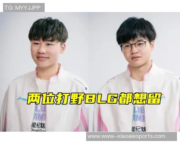 s15赛季BLG战术解析与反击体系的深度剖析与应用探讨