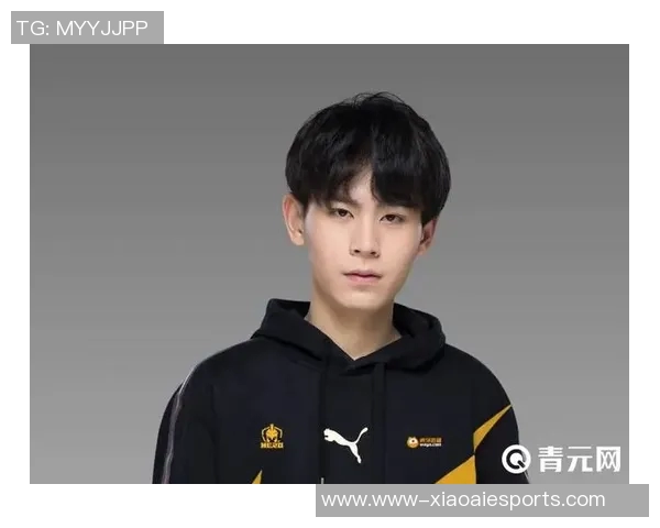 2026电竞新闻最新王者荣耀力量榜单揭晓IG战队强势领跑前十名选手一览